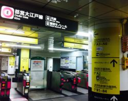 metro_tokyo.JPG
